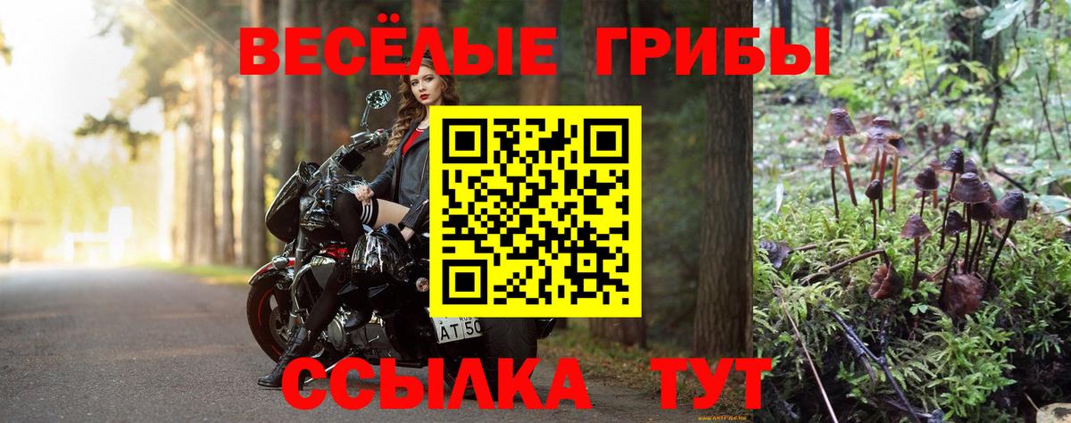 Дербент  Галлюциногенные грибы Cubensis  Вход с VPN 